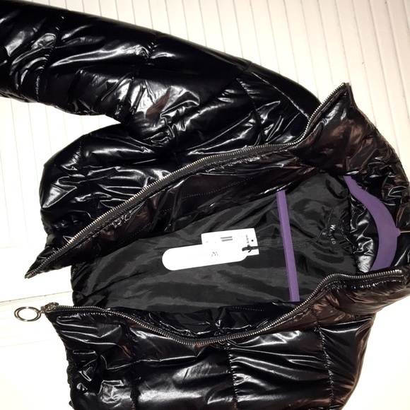 Jacket - Picture 3 of 6